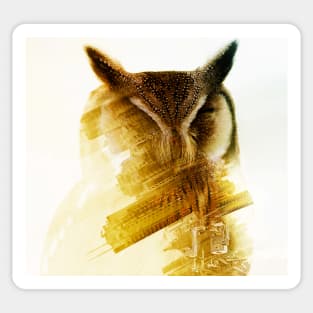 Owl Double Exposure photo manipulation city fantasy art Sticker